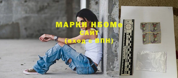 стаф Бердск