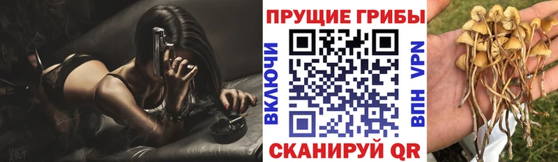 Галлюциногенные грибы мухоморы  mega   Октябрьск 